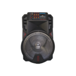 Haut Parleur Bleutooth 100 Watt